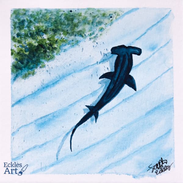 Overhead view of an indigo hammerhead shark winding its way next to some sea grass over the seabed that has indications that the sand has been gently rolled into soft hills by the surf.