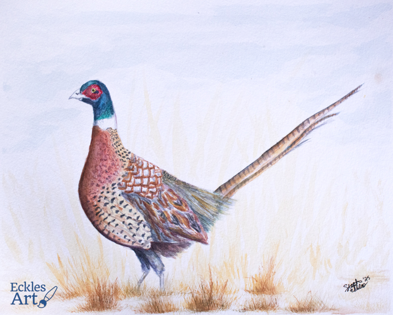 A male pheasant standing alert in a field of soft golden grass. The bird's plumage features intricate patterns in shades of russet, cream, and iridescent green, with a long striped tail extending gracefully across the composition against a soft sky background.