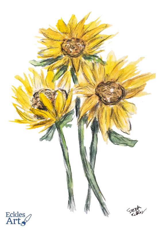 Three bright yellow sunflowers with green stems and leaves, loosely rendered with expressive brushstrokes on a white background.